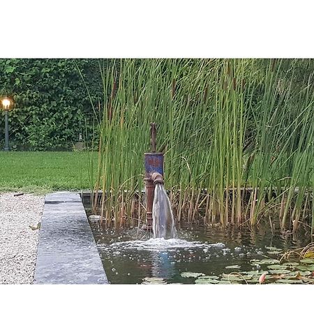 La Maison D Alys Cabannes Exteriör bild