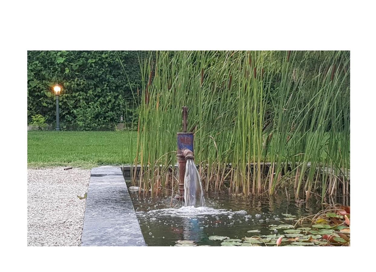 La Maison D Alys Cabannes Exteriör bild